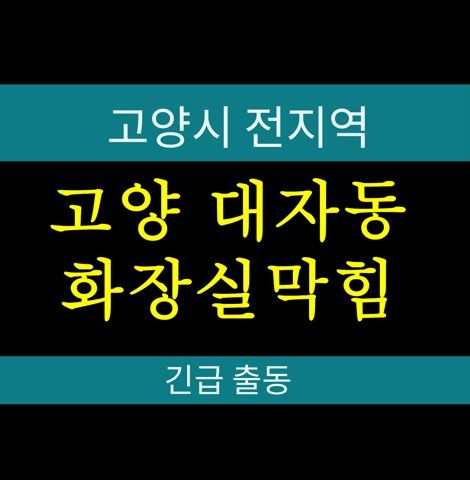 고양 대자동 화장실막힘 71